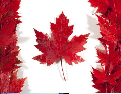 Apprendre l'anglais au CANADA - le 2ème plus grand pays du monde