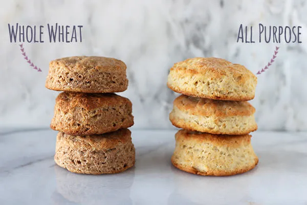 All vs The Whole en anglais : faire la différence